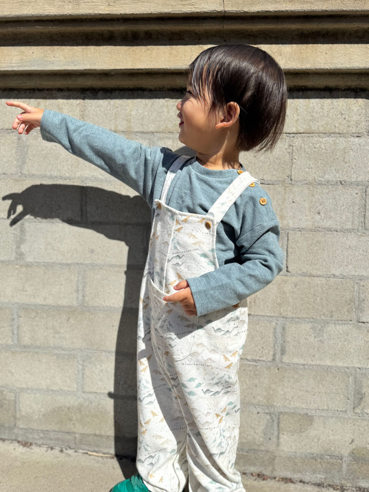 Alfie Dino Pant Set