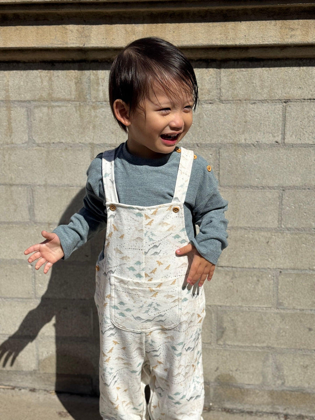 Alfie Dino Pant Set