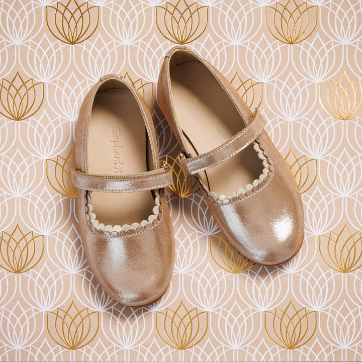 Aria Flats
