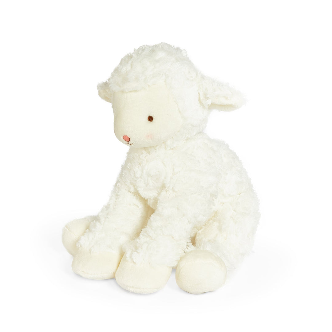 Kiddo the Lamb