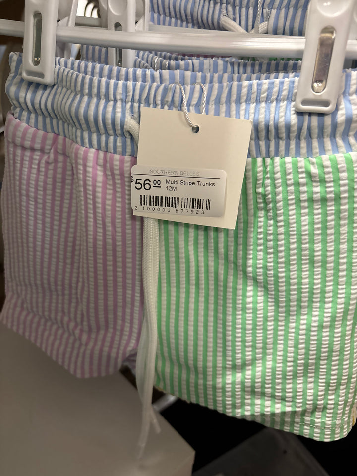 Multi Stripe Swim Trunks