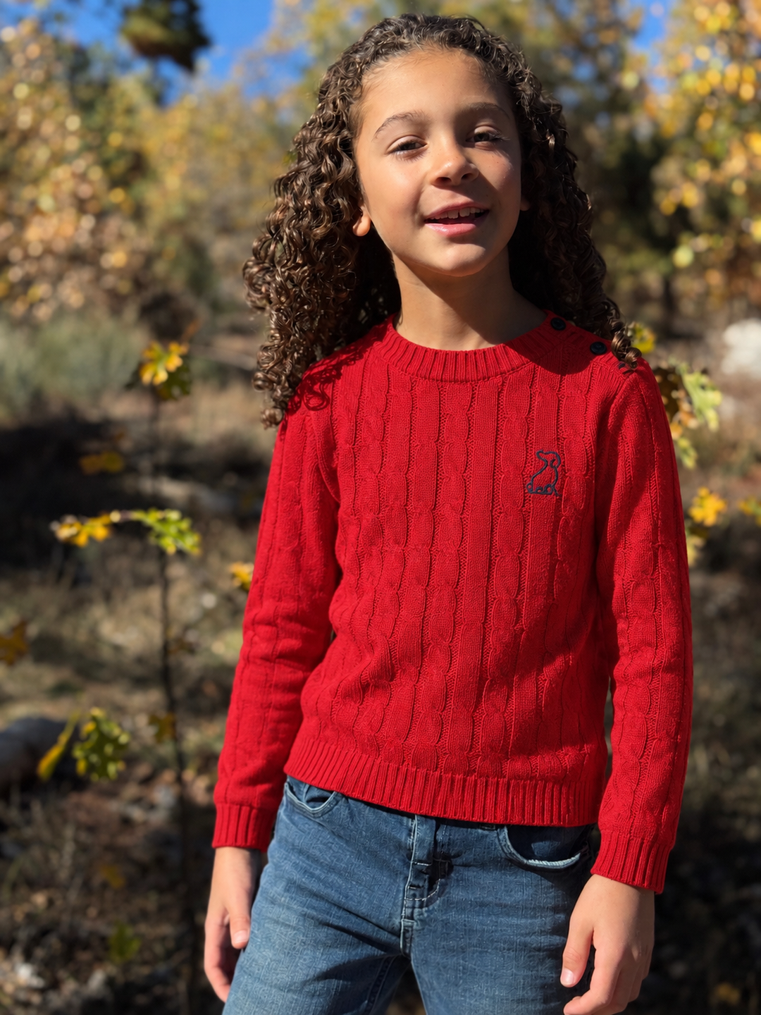 Classy Cable Sweater
