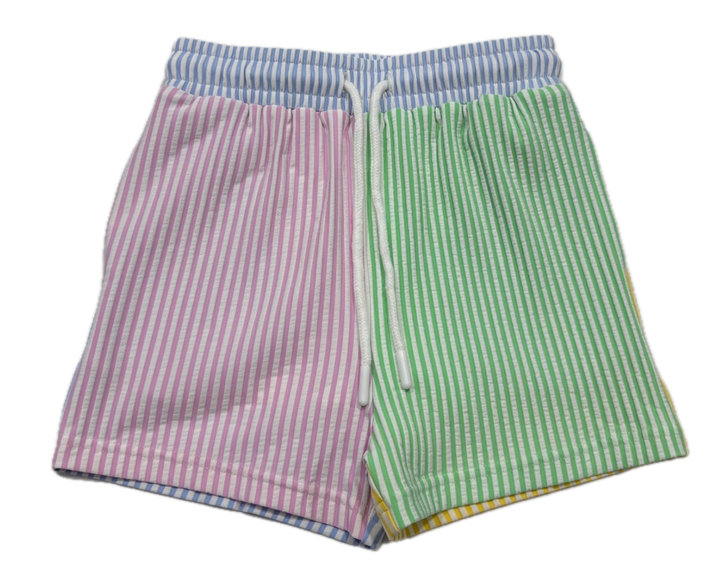 Multi Stripe Swim Trunks