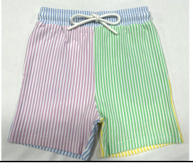 Multi Stripe Swim Trunks