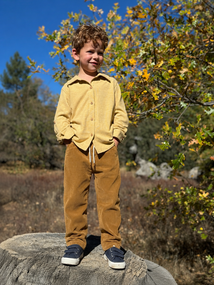 Arlo Cord Jogger Pants