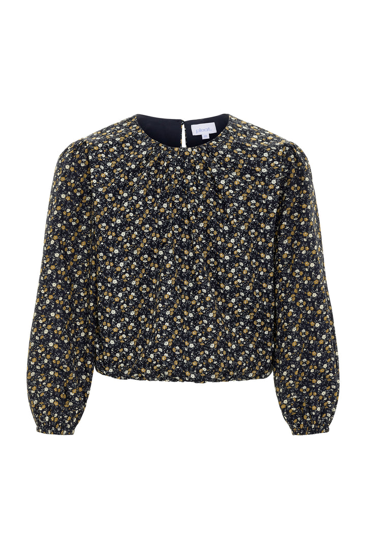 Wren Top