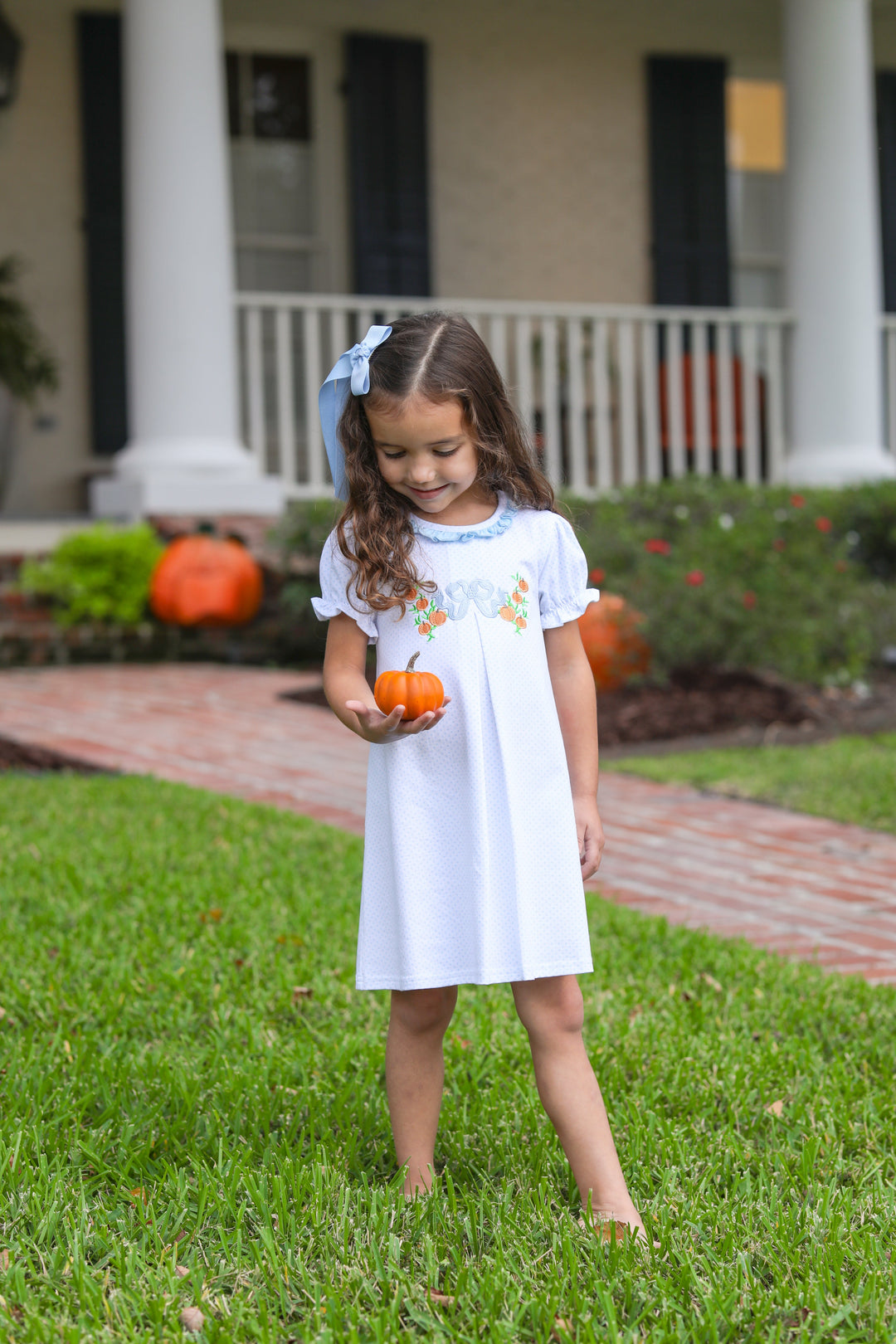 Pumpkin Embroidery Dress