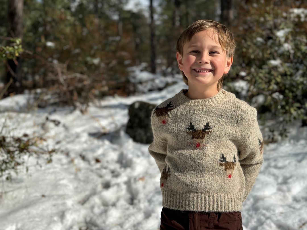 Reindeer Sweater