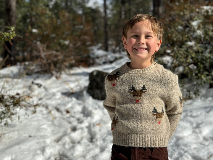 Reindeer Sweater