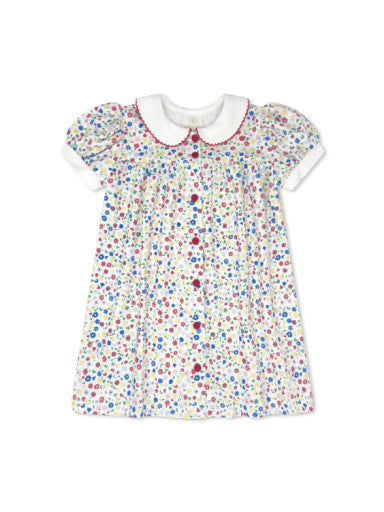 Breccan Dress