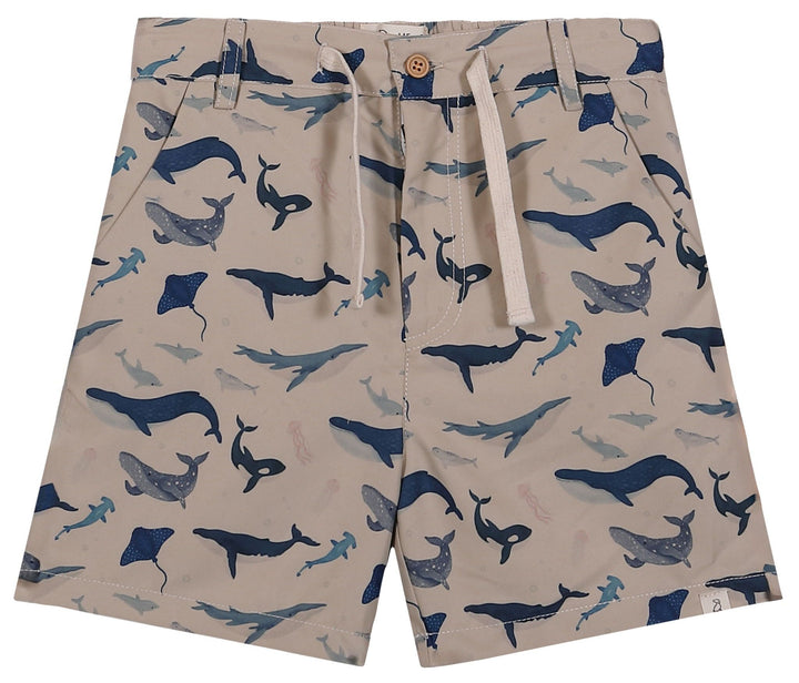 Splish Swim Shorts