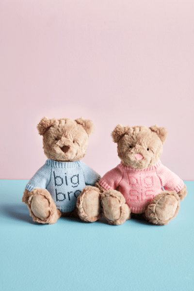 Plush Bear